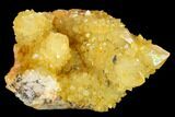Sunshine Cactus Quartz Crystal Cluster - South Africa #132892-1